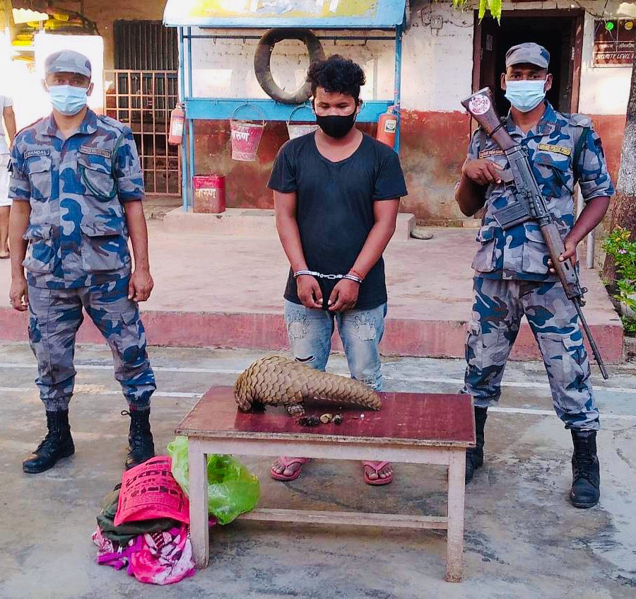 सशस्त्र प्रहरीको सिमा नाकामा सक्रियता : सालकको खपेटासहित एक पक्राउ