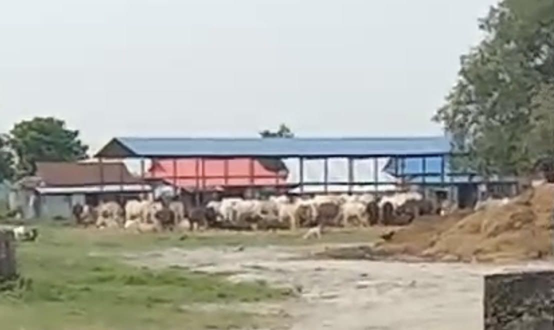 ध्वनिखबर समाचारको प्रभाव : सशस्त्र प्रहरीको उच्च स्तरीय छानबिन टोलीले कोशी प्रदेशमा छानबिन थाल्यो